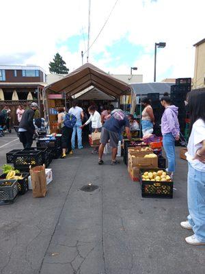 One Life Counseling Center