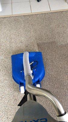 A1 Pro Cleaning & Restoration Systems