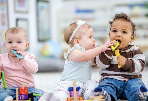 The Academy of Young Scholars