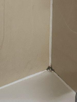 FairBridge Inn Express - Melrose Park