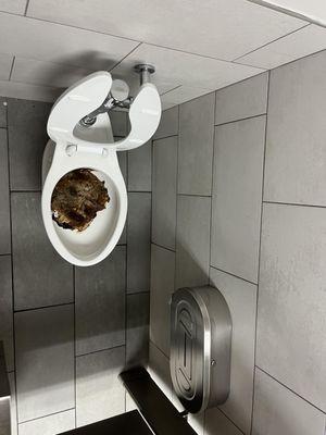 This was at the beginning of this year 2023