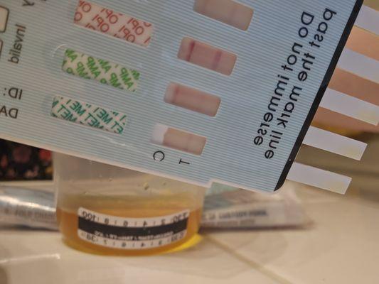 DRUG PANEL TESTING UP TO 13 DIFFERENT DRUGS! RESULTS IN 5 MINUTES