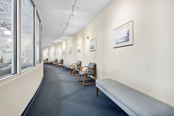 Wardell Orthopaedics