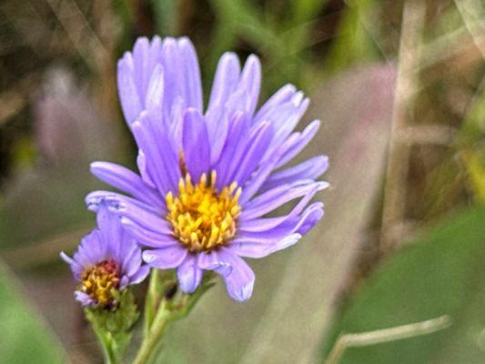 Lostwood National Wildlife Refuge