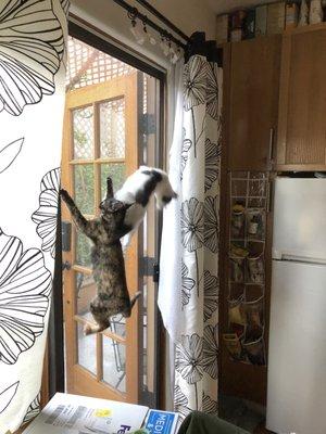 Central Screen Company