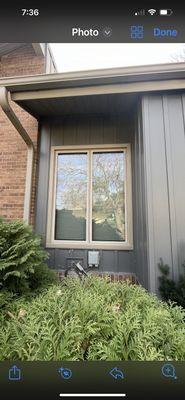 Element Window & Door