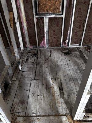 Summit Professional Home & Lawn Solutions