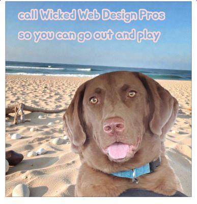 Wicked Web Design Pros