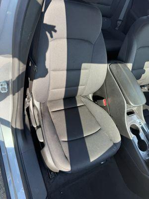 Avis Car Rental