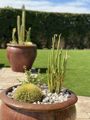 Quality Irrigation & Hardscape