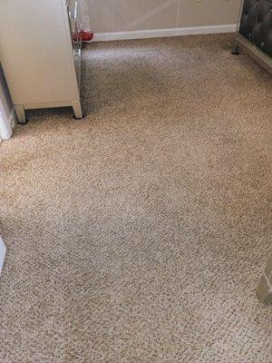 Ninja Carpet Cleaning