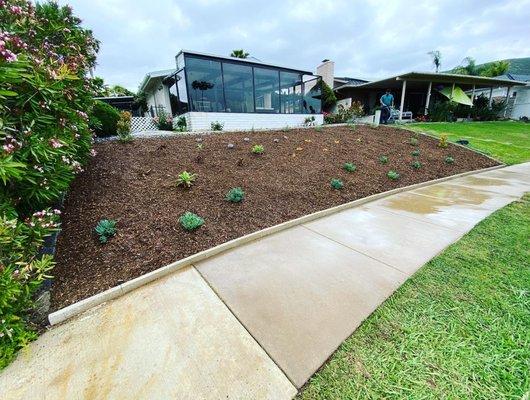 Golden Hour Irrigation