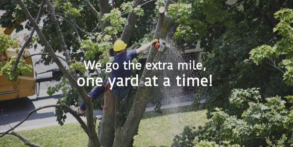 Arbortech Tree Service