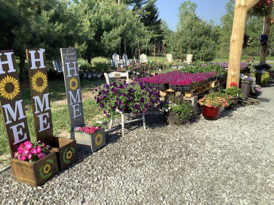 Flower Market Greenhouse