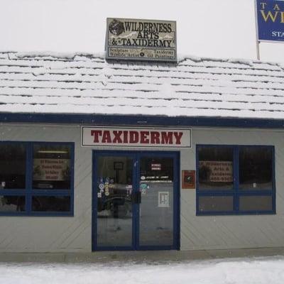 Alaska Wilderness Art and Taxidermy