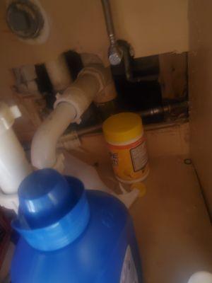 Rats the size of cats run around your kitchen at night