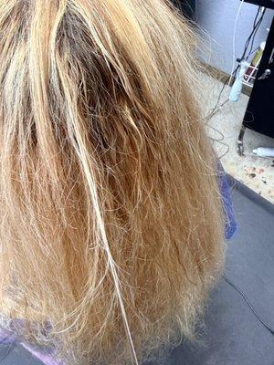 Salon By Sandra Lozano