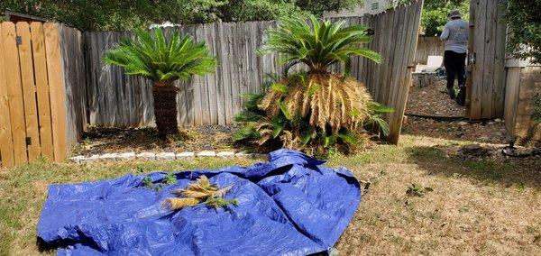 Work in Wisdom Services