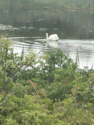 South Cape May Meadows