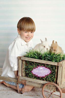 Jennifer Branham Photography