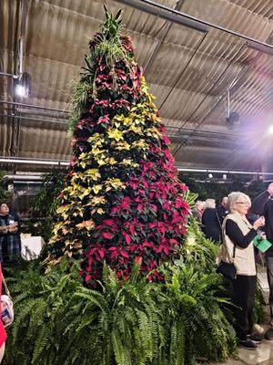 Christmas Pointseta tree