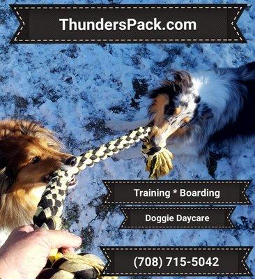 Thunder's Pack Canine Training