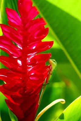 Balance Pest Control