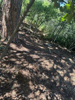 Lokeni Sales Solutions