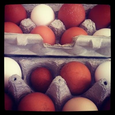 Stuyvesant Town Greenmarket