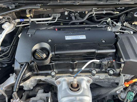 Mario Miracle Detailing