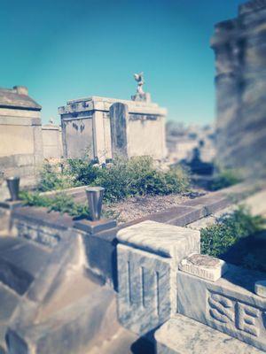 St Vincent De Paul Cemetery