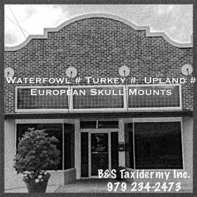B&S Taxidermy