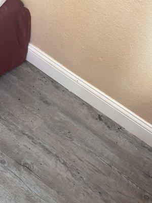 Albany Inn & RV Campground