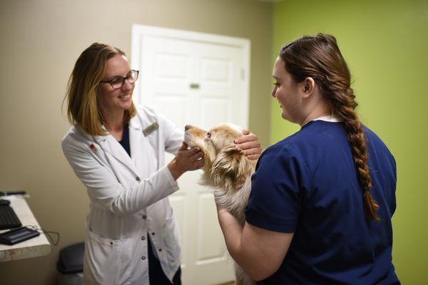 Ellendale Veterinary Service