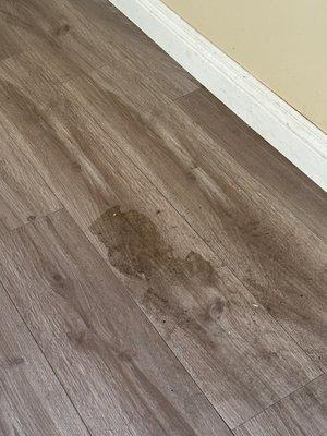 Ideal Property Management