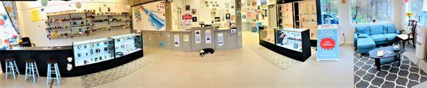 Panorama of Daley Vapor in N.Reading
