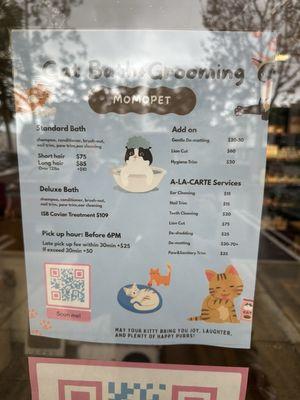 Cat bath grooming services