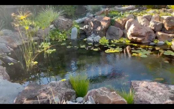 Santa Cruz Ponds and Waterfalls