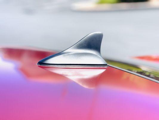 Antenna painted black