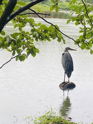 Lake Winfield Recreation Area