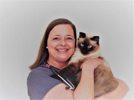 Carolina Vet Tech Services