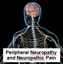 Treatment for Peripheral Neuropathy and Neuropathic Pain