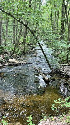 Douglas State Forest