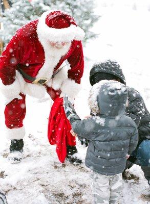 Creekside Tree Nursery