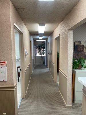 Donald M. Ditullio, DDS