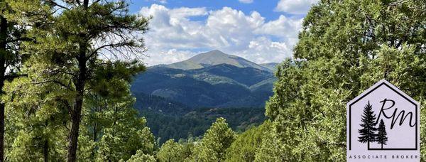 Riley Mccracken -TRU South Real Estate