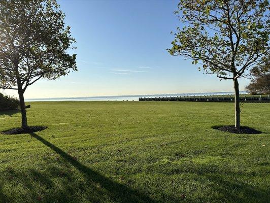 Turf And Weed Solutions