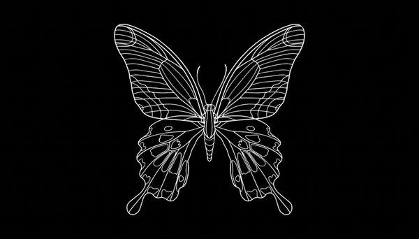 Metamorphosis Hair Studio