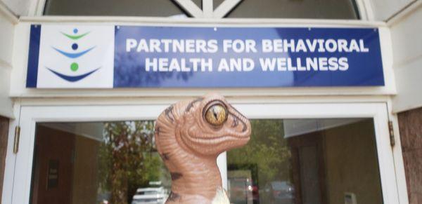 Partners for Behavioral Health and Wellness