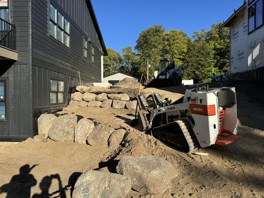 Distinctive Tree Experts